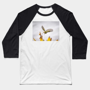 Waxeye in  flight above flowers just feeding on. Baseball T-Shirt